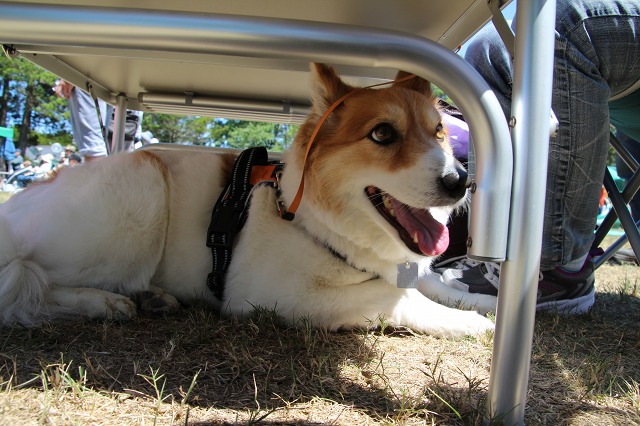 ファイル 97-2.jpg