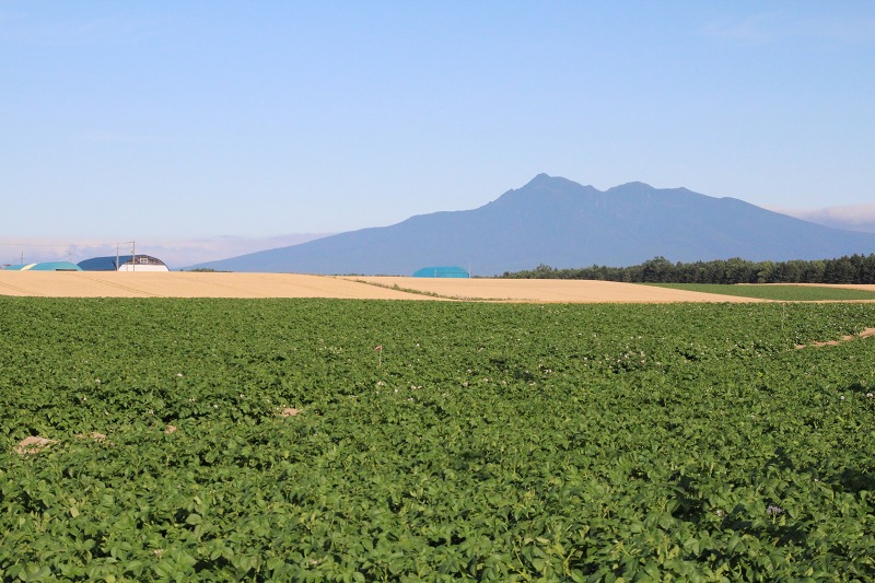 ファイル 98-1.jpg