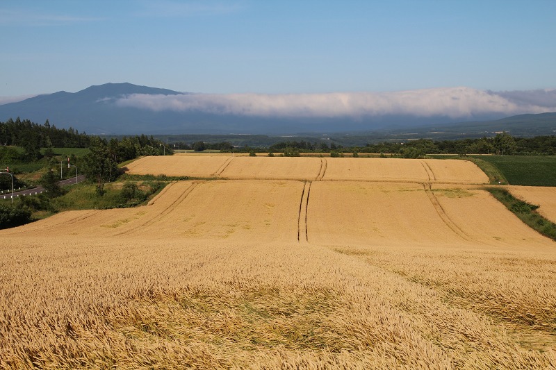 ファイル 98-3.jpg