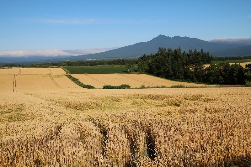 ファイル 98-4.jpg