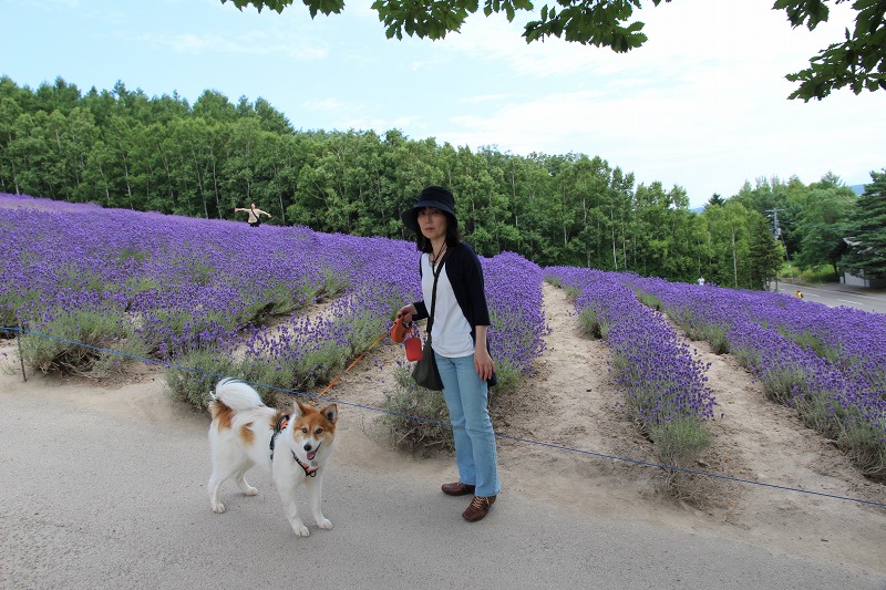 ファイル 99-8.jpg