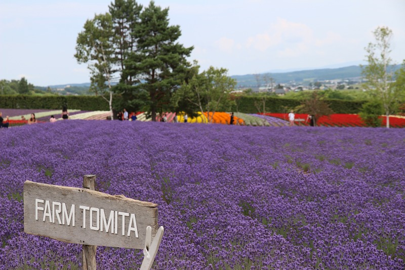 ファイル 99-9.jpg