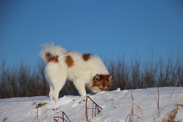 ファイル 10-3.jpg