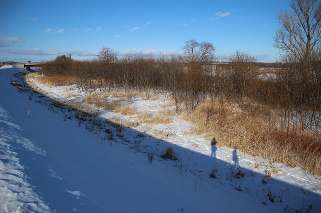 ファイル 10-4.jpg