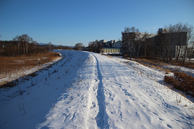 ファイル 10-5.jpg