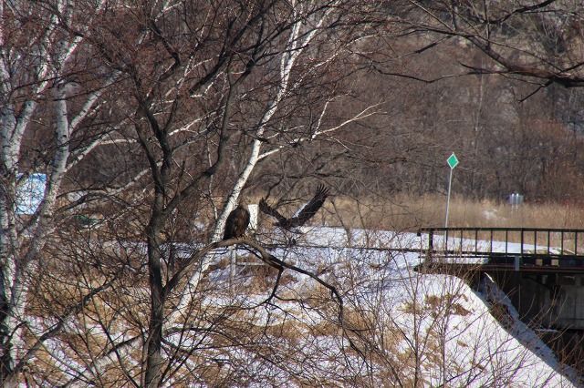 ファイル 10-7.jpg