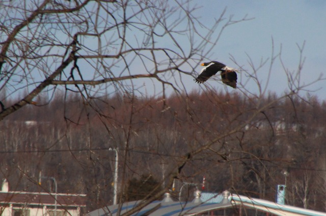 ファイル 10-8.jpg