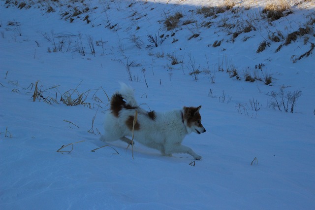 ファイル 10-9.jpg