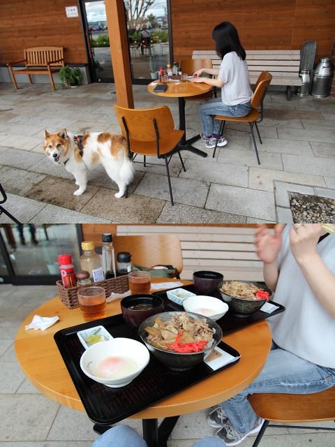 ファイル 101-3.jpg