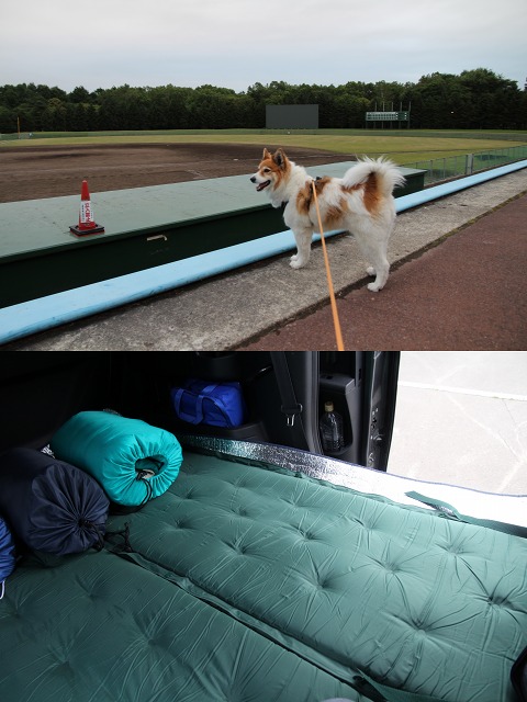 ファイル 101-8.jpg