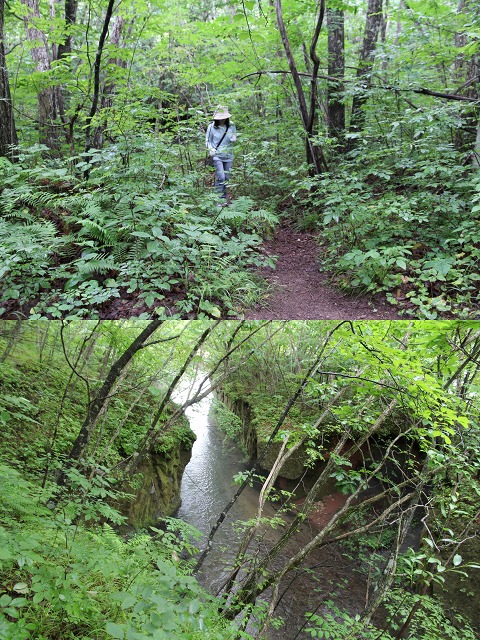 ファイル 102-4.jpg