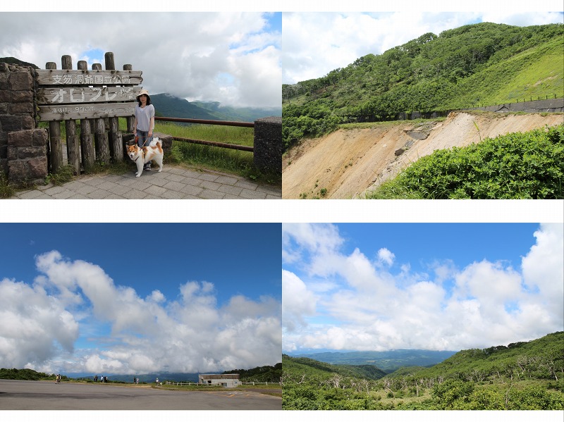 ファイル 103-2.jpg