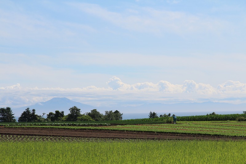 ファイル 103-6.jpg