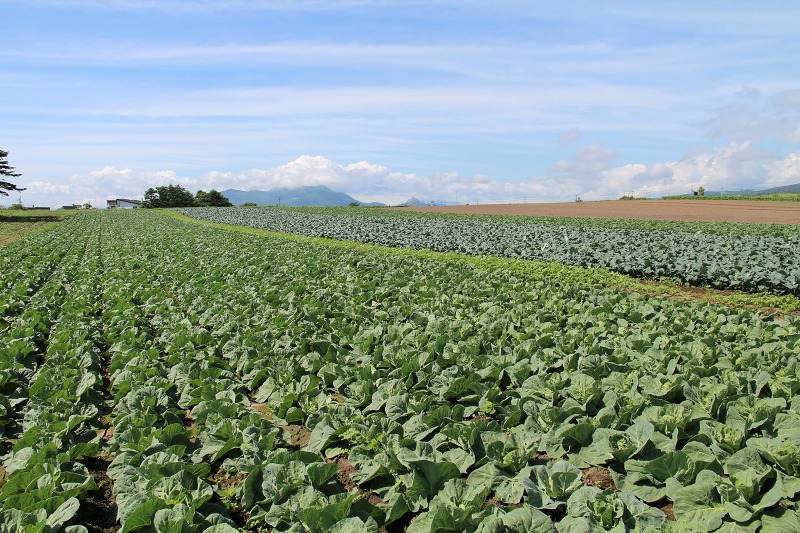 ファイル 103-7.jpg