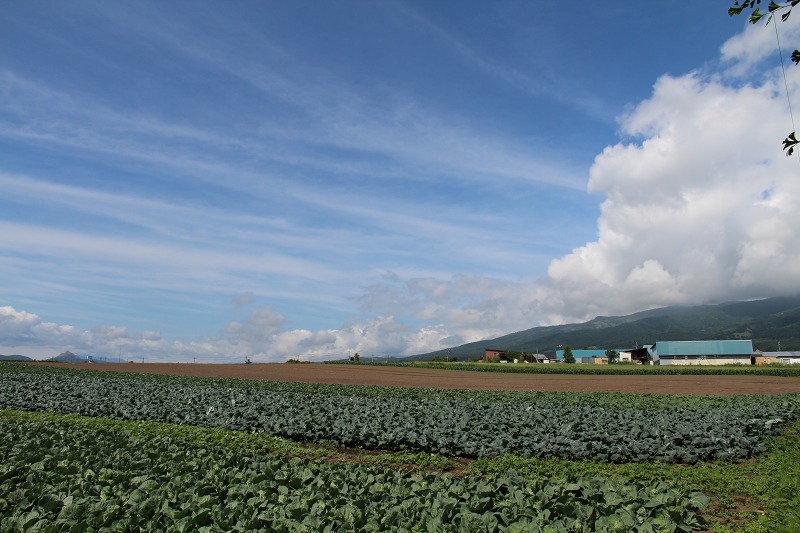 ファイル 103-8.jpg