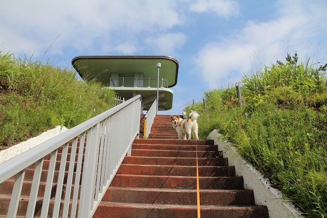 ファイル 103-9.jpg