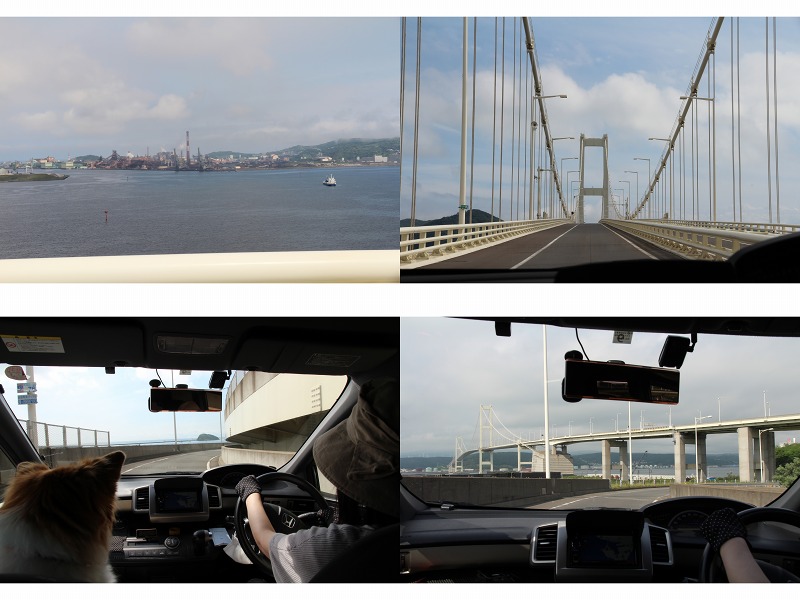 ファイル 104-5.jpg