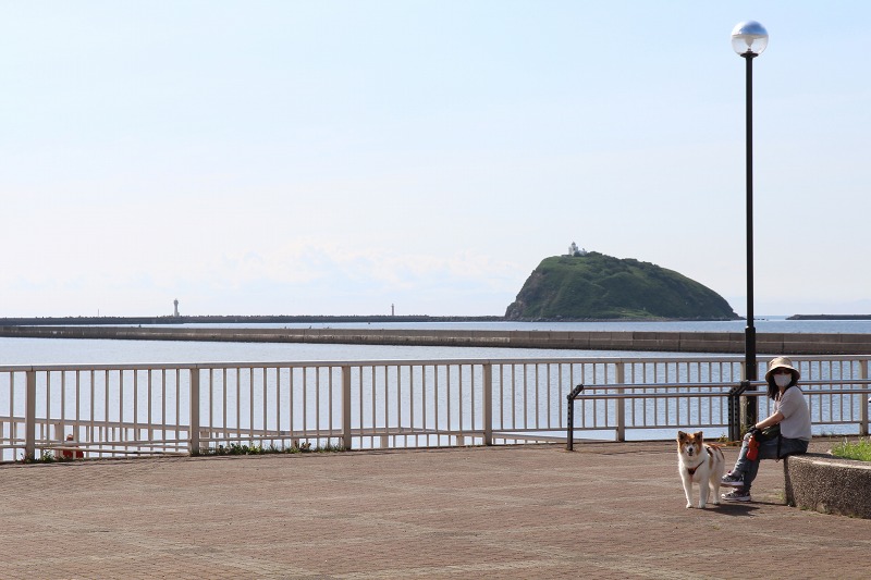 ファイル 104-6.jpg