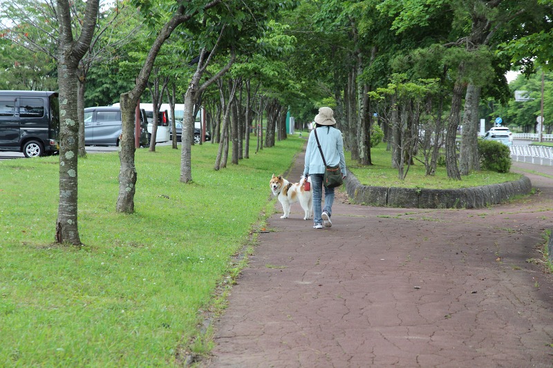 ファイル 104-7.jpg