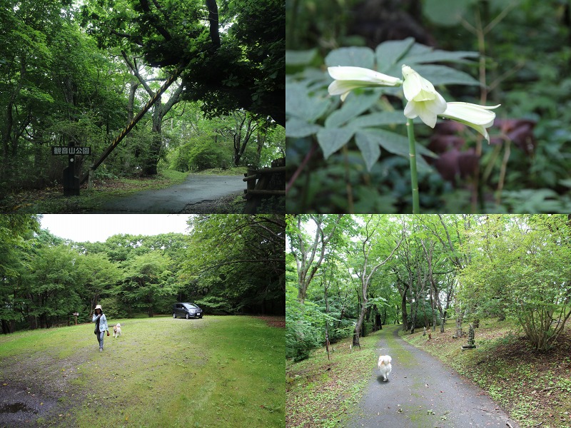 ファイル 105-7.jpg