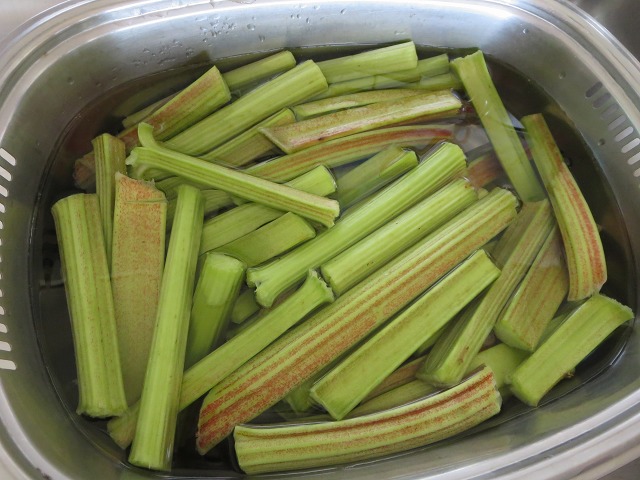 ファイル 107-1.jpg