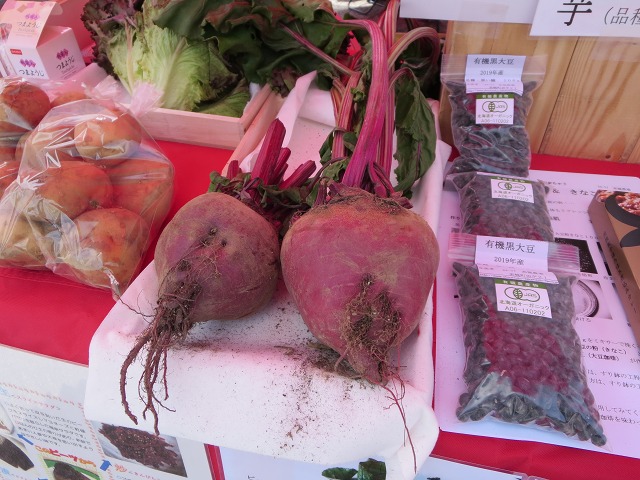 ファイル 107-3.jpg