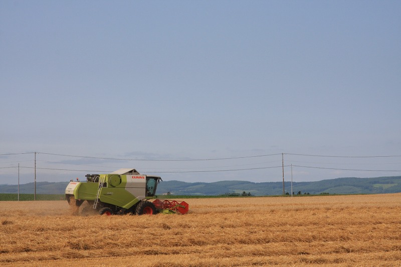 ファイル 108-1.jpg