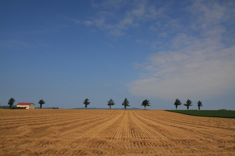 ファイル 108-2.jpg