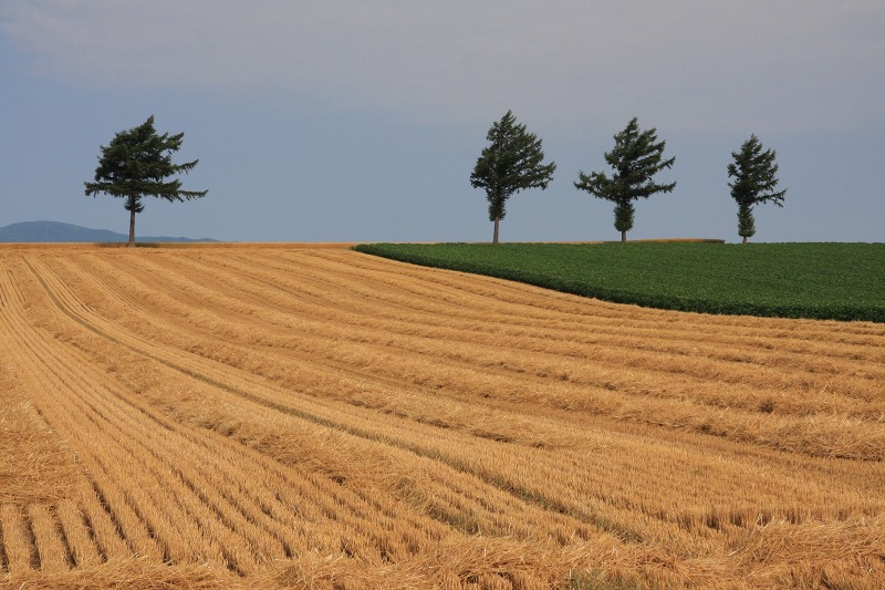 ファイル 108-3.jpg