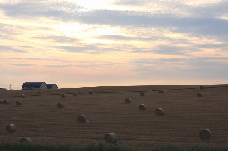 ファイル 108-4.jpg