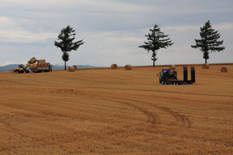 ファイル 109-1.jpg