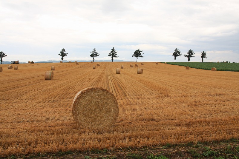 ファイル 109-2.jpg