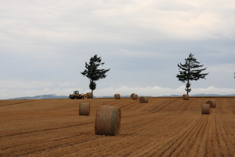 ファイル 109-4.jpg