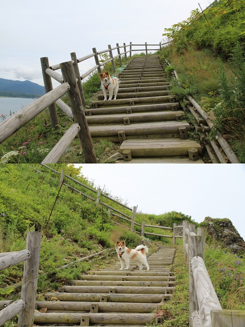 ファイル 110-3.jpg