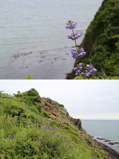 ファイル 110-5.jpg