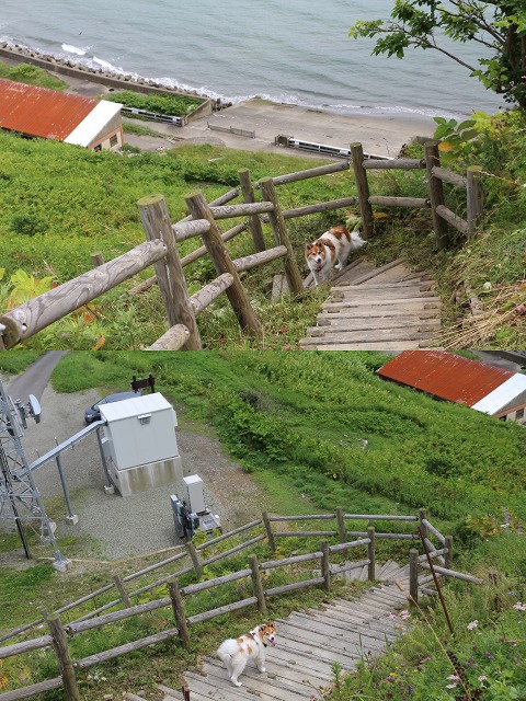 ファイル 110-7.jpg