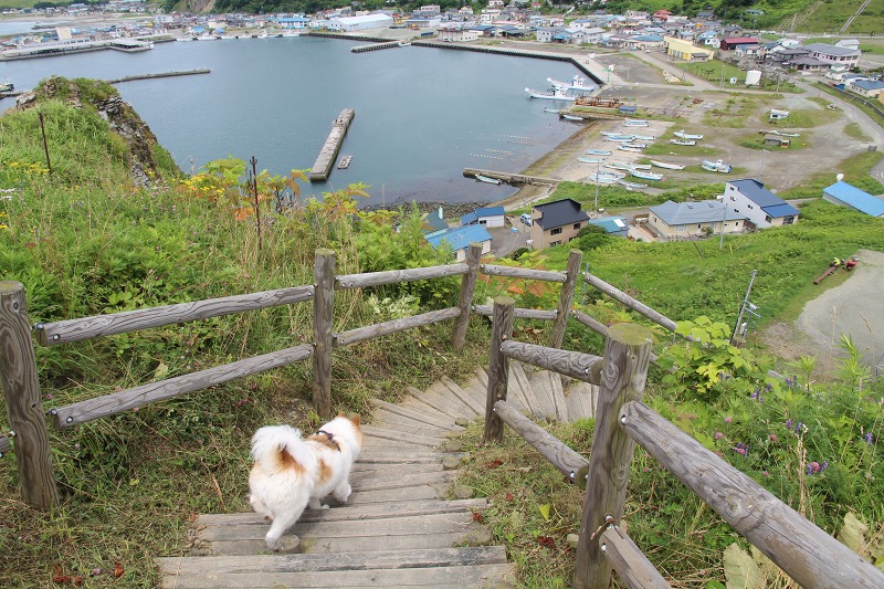 ファイル 110-8.jpg