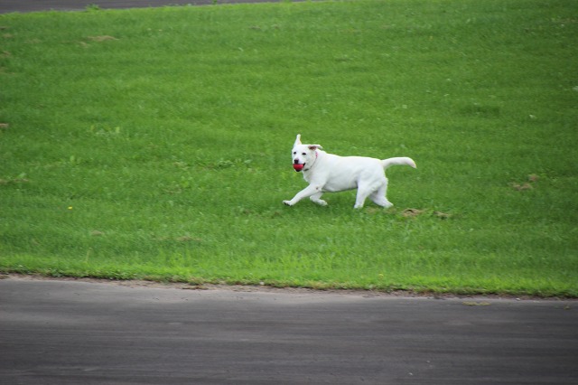 ファイル 113-2.jpg