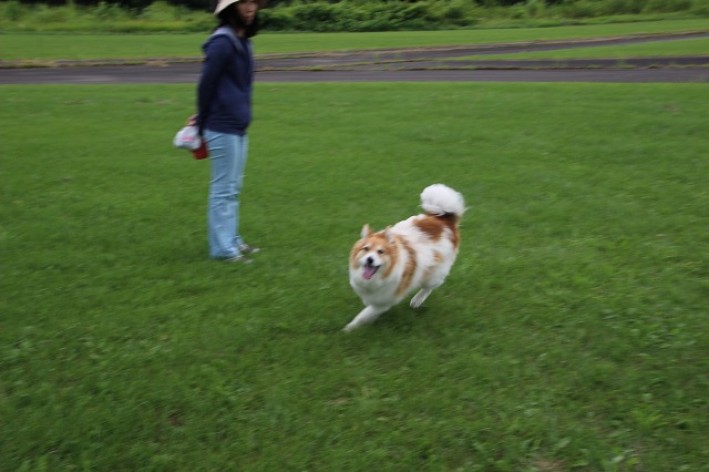 ファイル 113-3.jpg