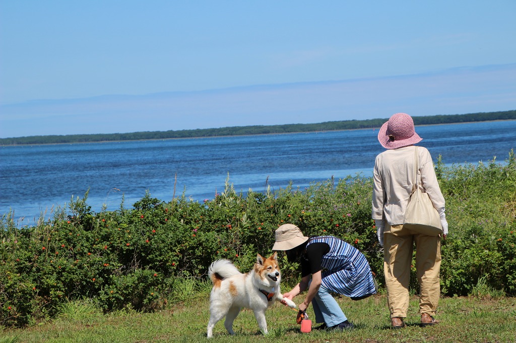 ファイル 114-1.jpg