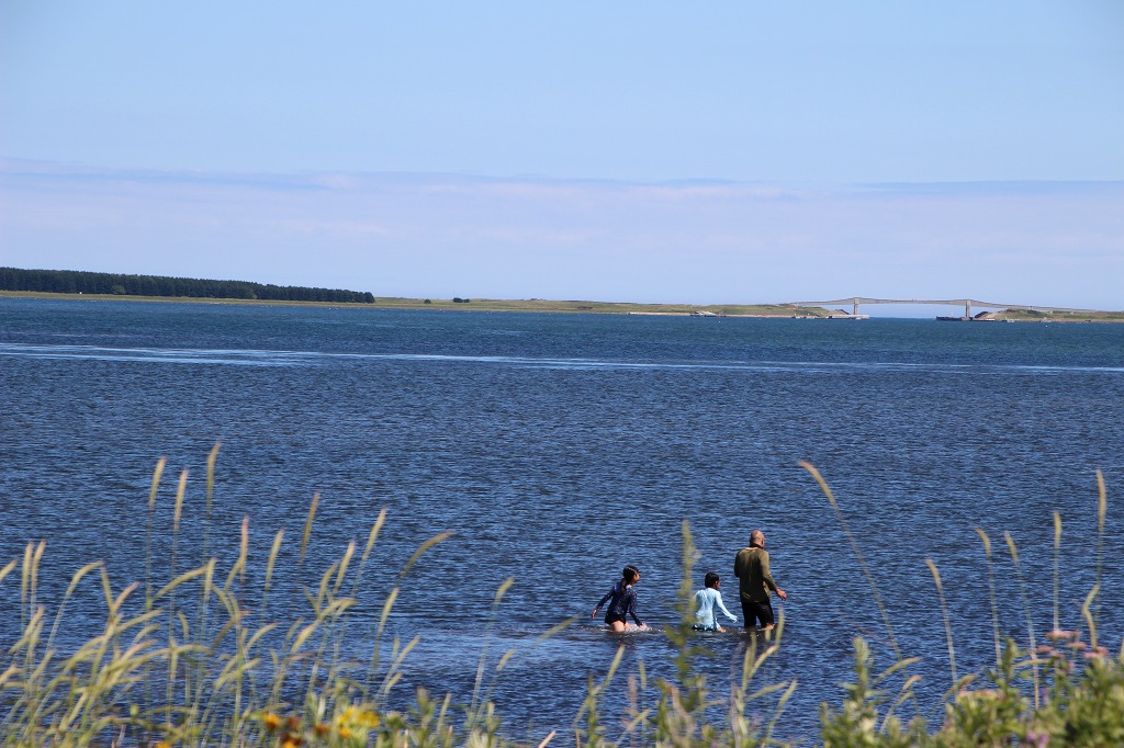 ファイル 114-4.jpg