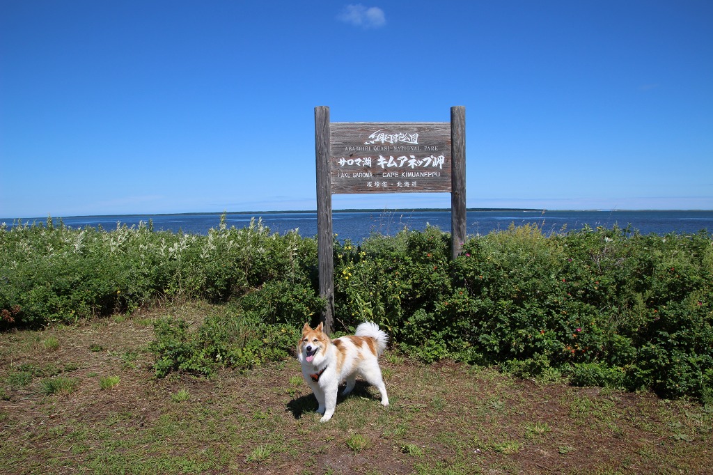 ファイル 114-7.jpg