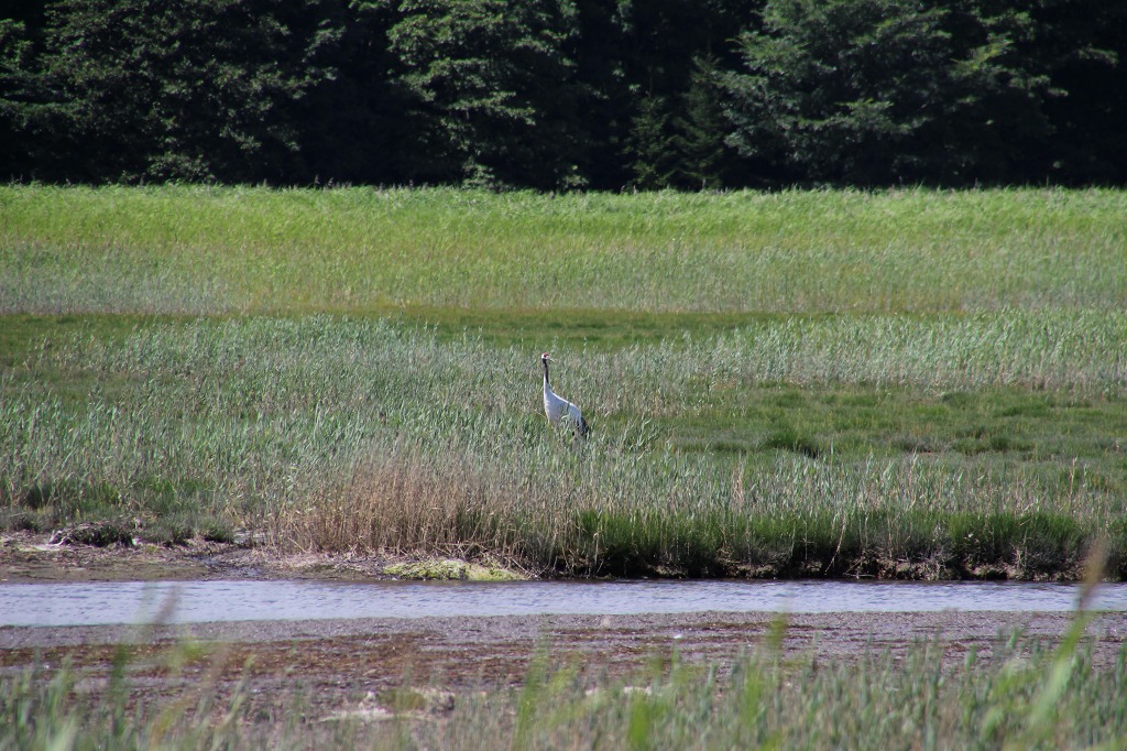 ファイル 114-8.jpg