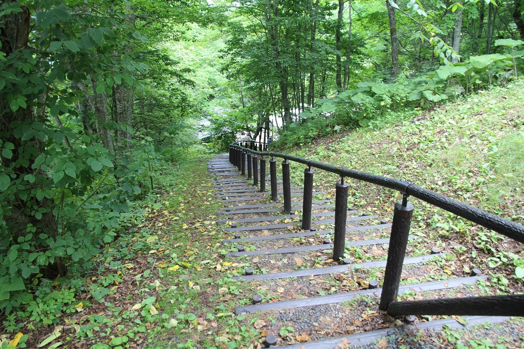 ファイル 115-3.jpg