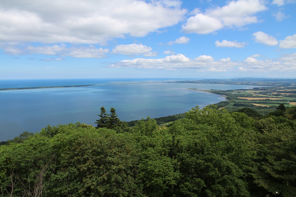 ファイル 115-4.jpg