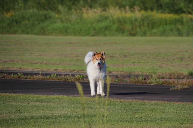 ファイル 119-3.jpg