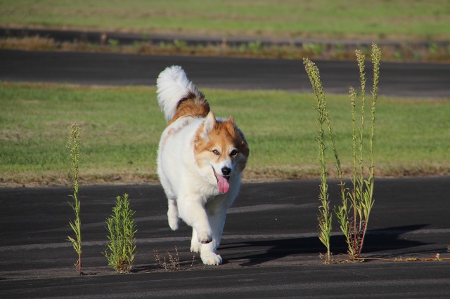 ファイル 119-4.jpg