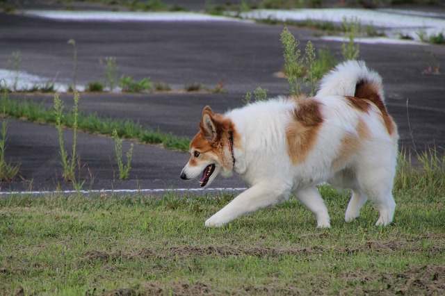 ファイル 119-6.jpg