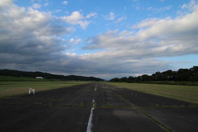 ファイル 119-7.jpg