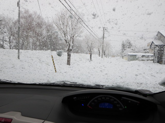 ファイル 12-1.jpg